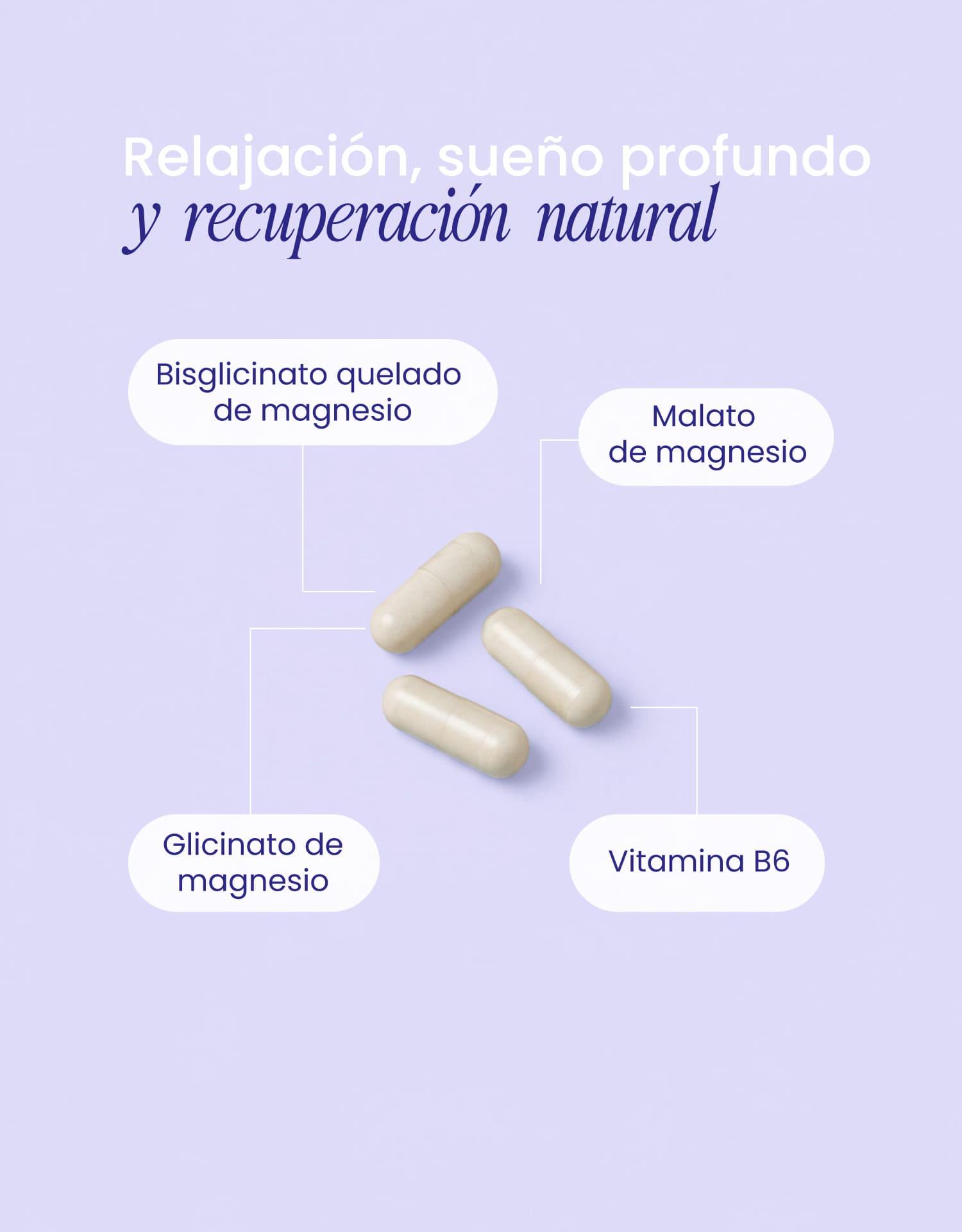 Magnesium Support: Relajación, sueño profundo y recuperación natural