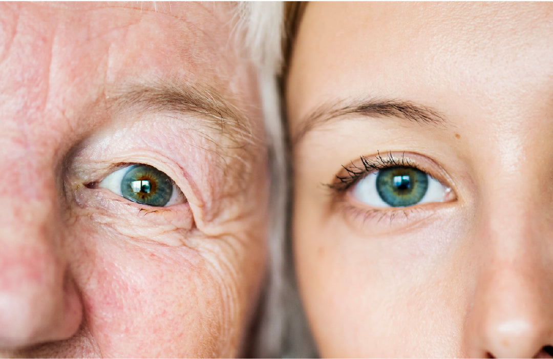 Longevidad: Cómo cuidar tus células para vivir más y mejor