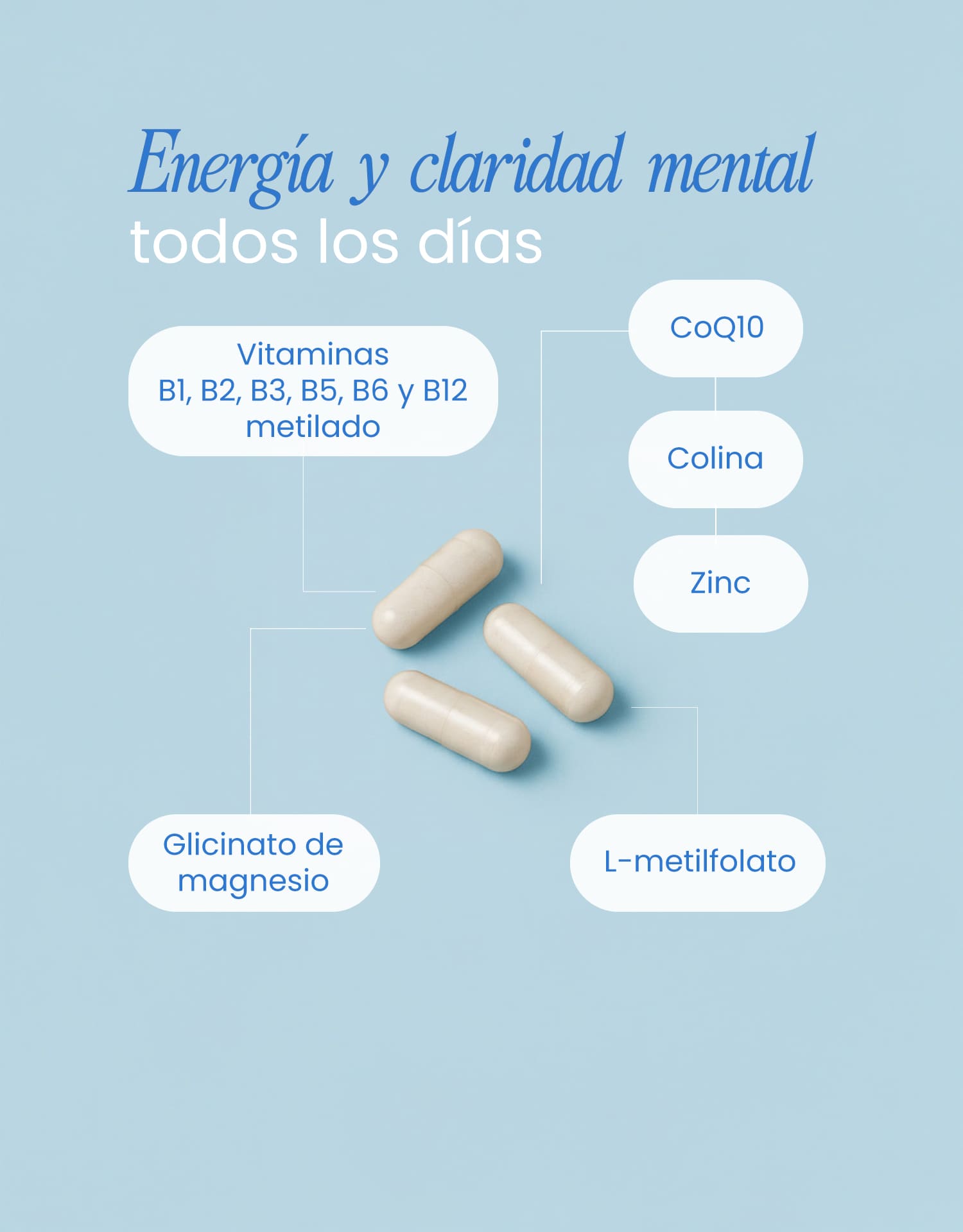 B Complex Support: Energía y claridad mental todos los días