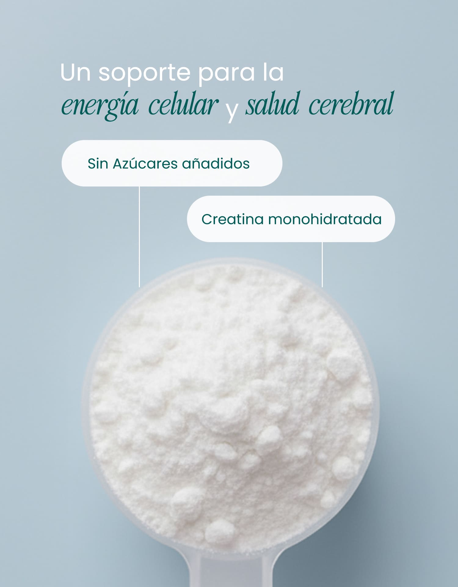 Creatina Monohidratada 100% Pura – Energía y Rendimiento - 300g