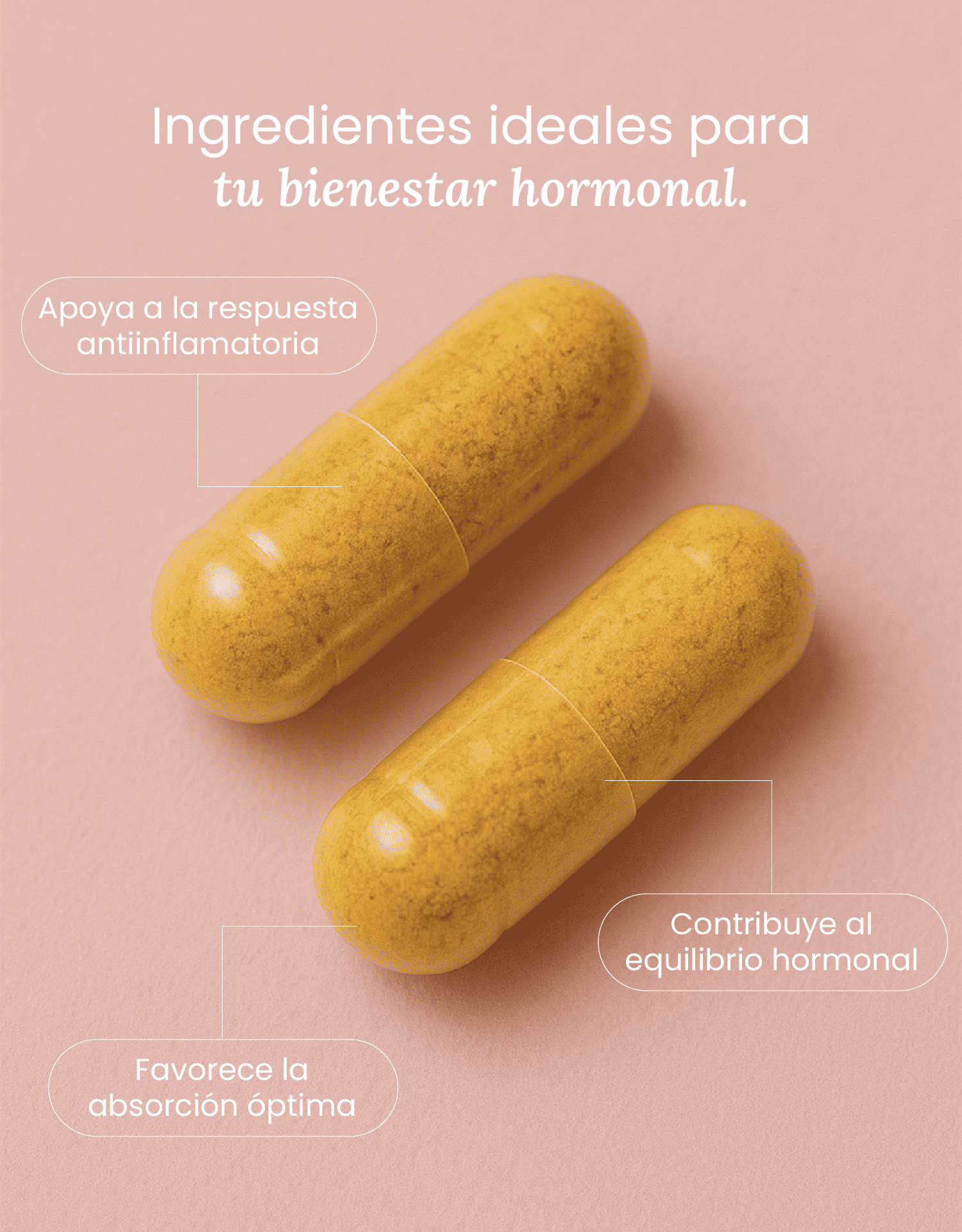 Endo Support con Cúrcuma, Magnesio y Vitamina D3 – Apoyo Ciclo Menstrual