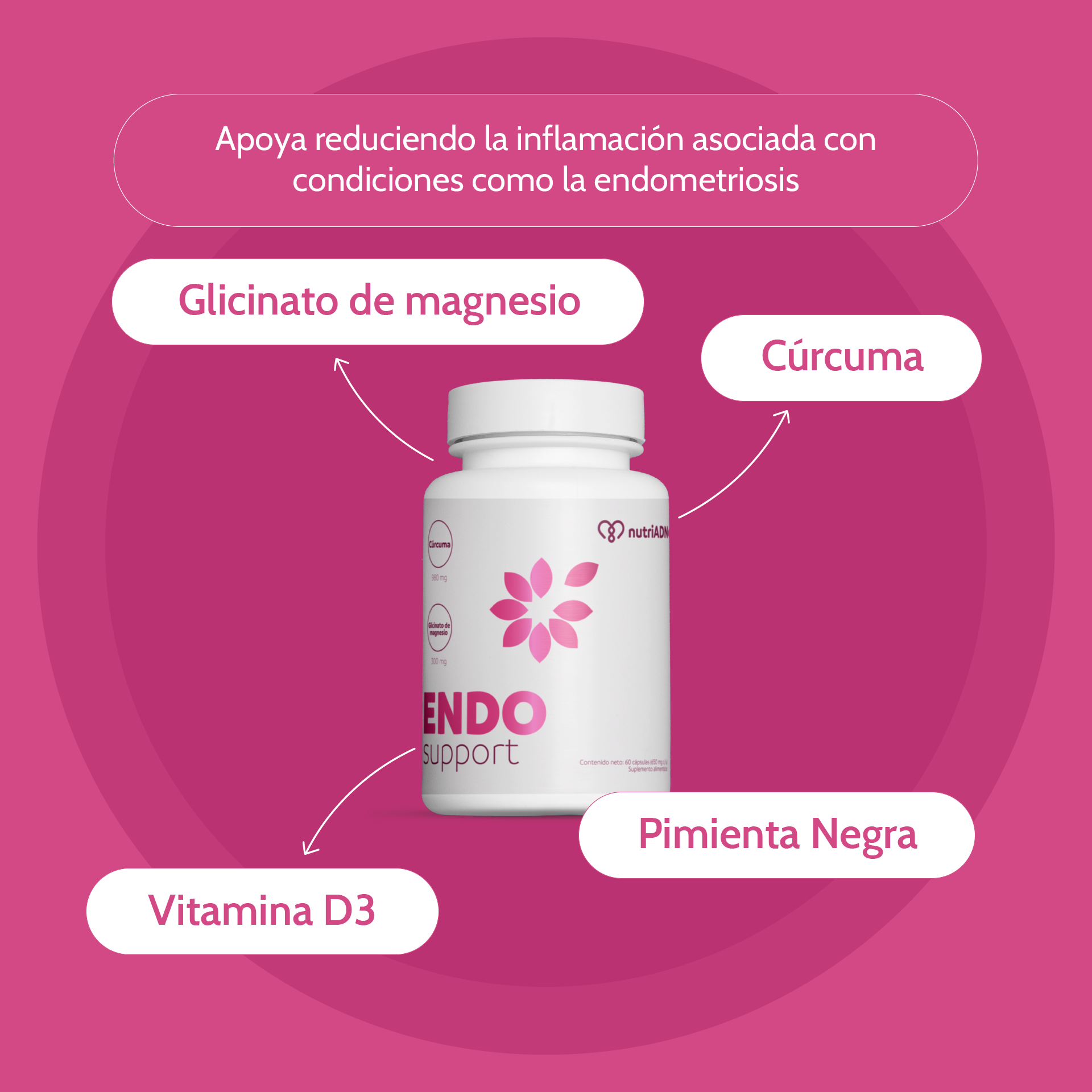 Endo Support con Cúrcuma, Magnesio y Vitamina D3 – Apoyo Ciclo Menstrual