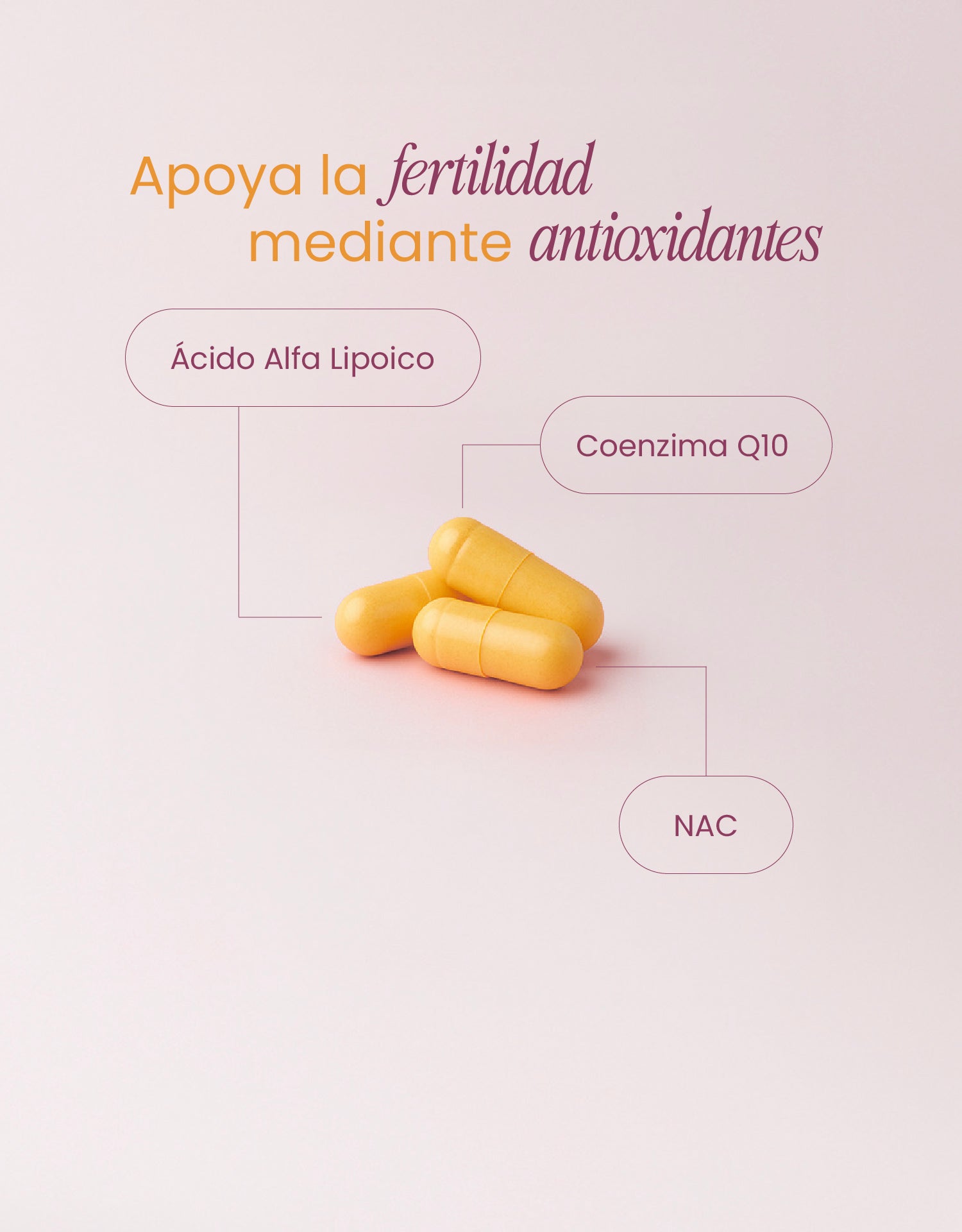 Fertility Support