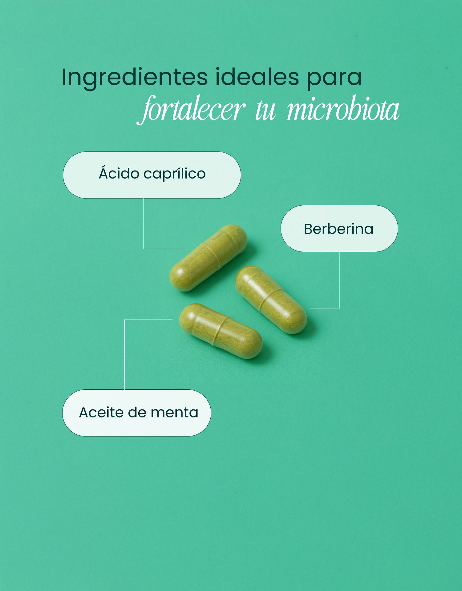 Gut Support con Aceite de Oregano , Ácido Caprílico y Menta – Salud Intestinal – Candida Cleanse