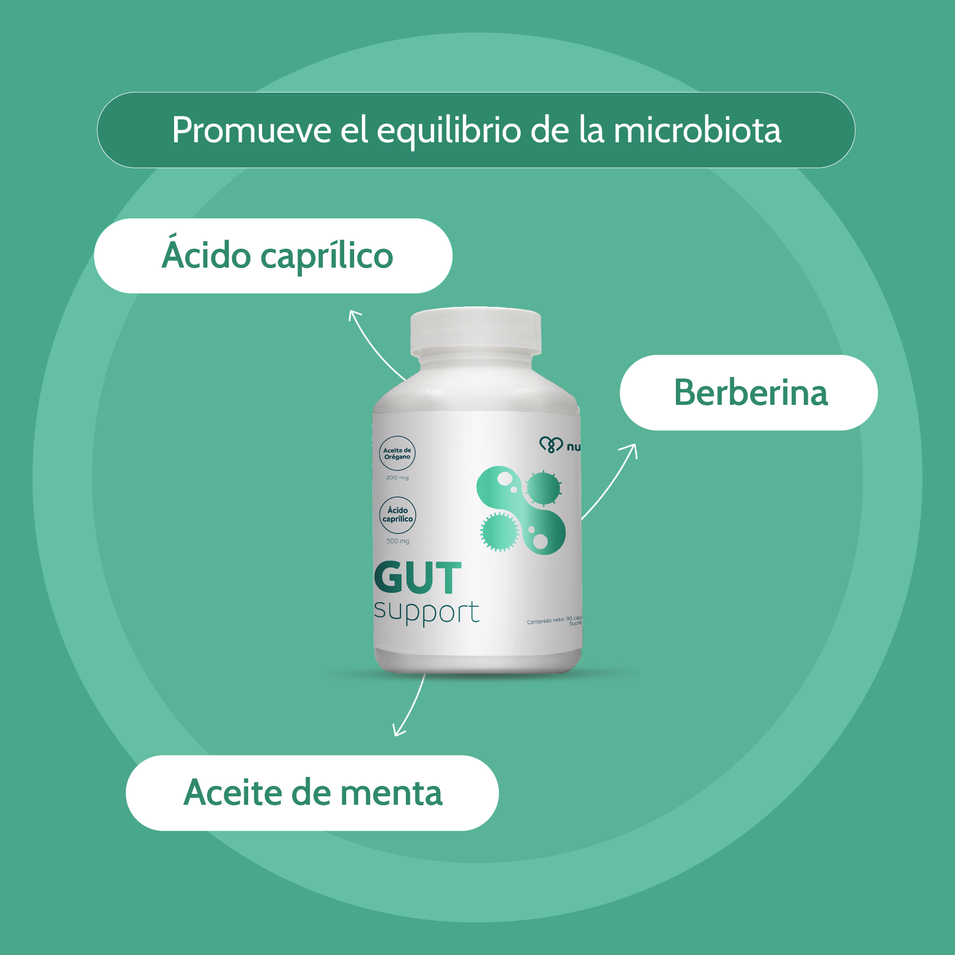 Gut Support con Aceite de Oregano , Ácido Caprílico y Menta – Salud Intestinal – Candida Cleanse
