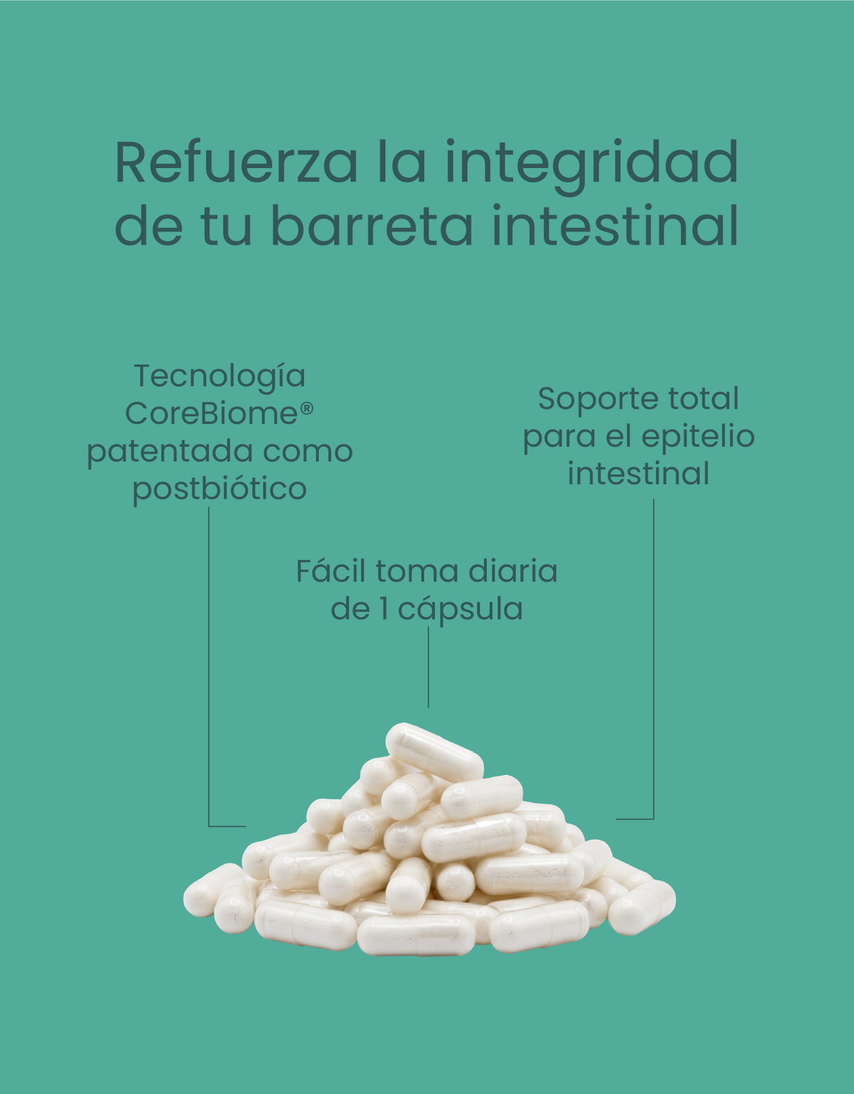 Gut Barrier | Tributirina CoreBiome® + Inulina + Vitaminas A y D