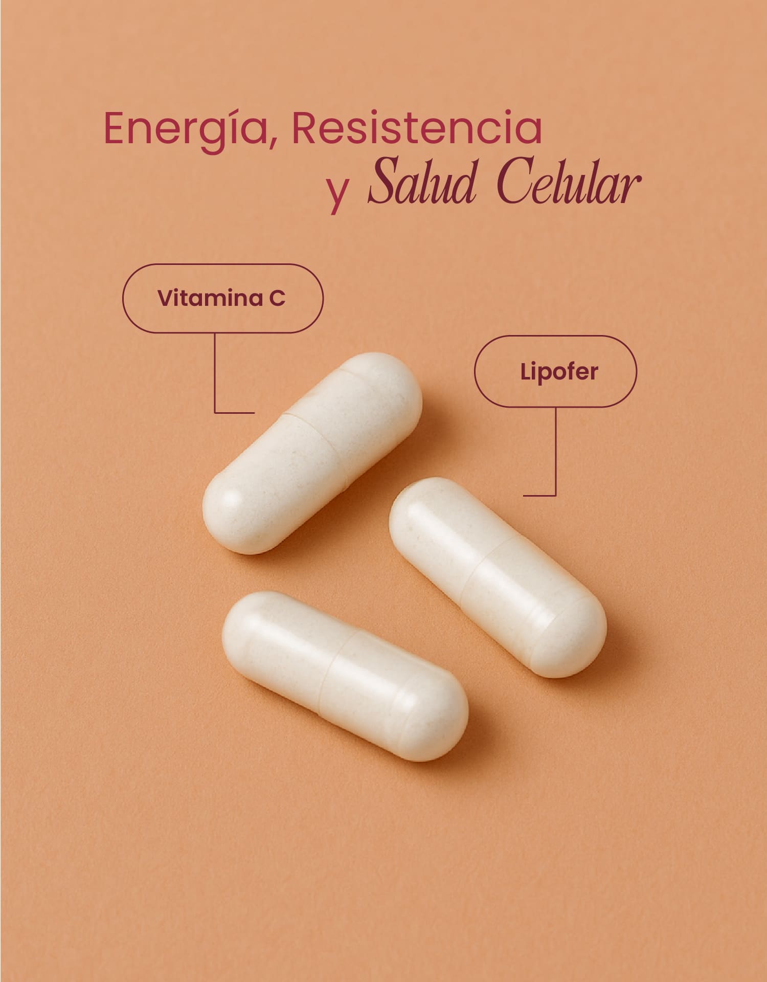 Iron Support con Vitamina C y Lipofer – Hierro de Alta Absorción