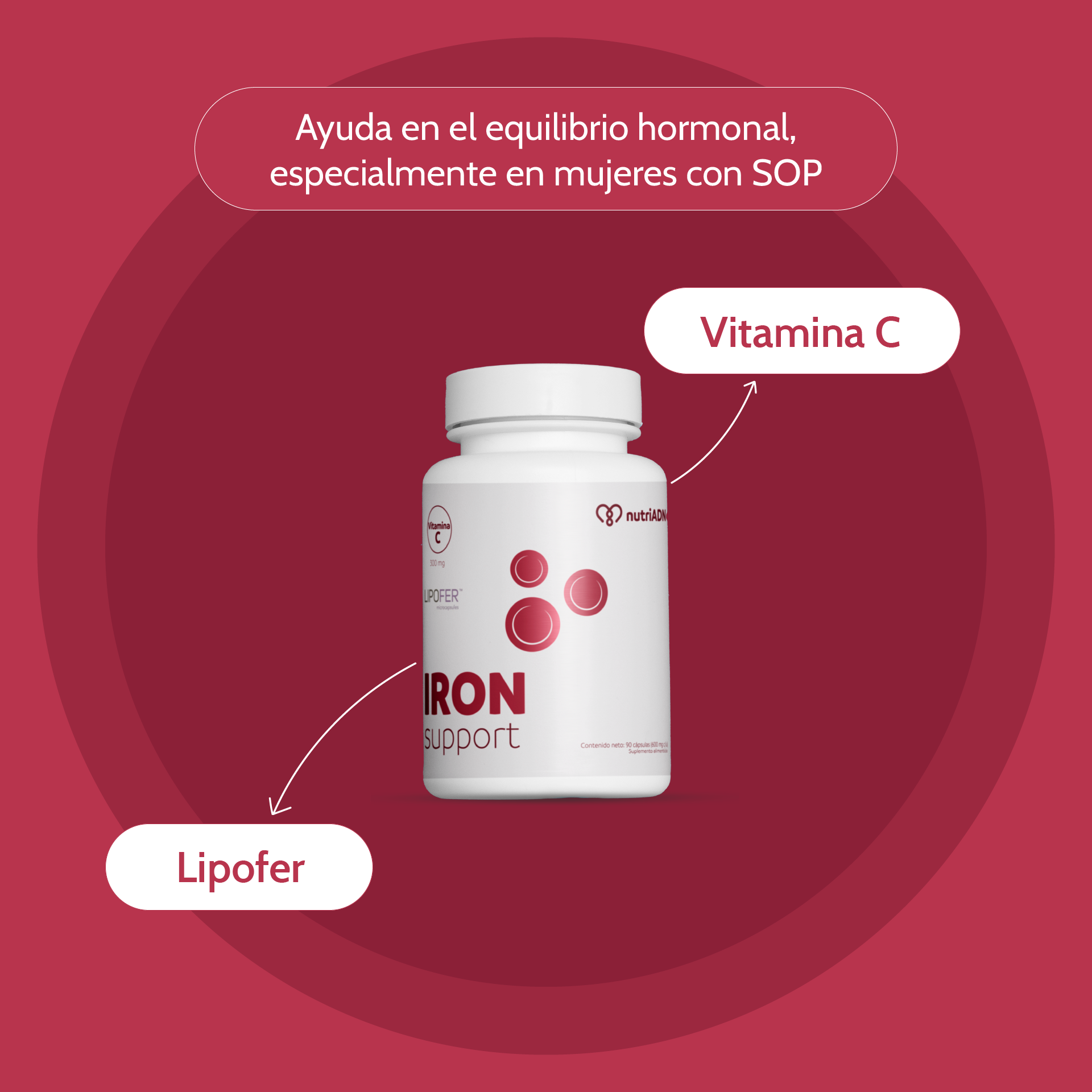 Iron Support con Vitamina C y Lipofer – Hierro de Alta Absorción