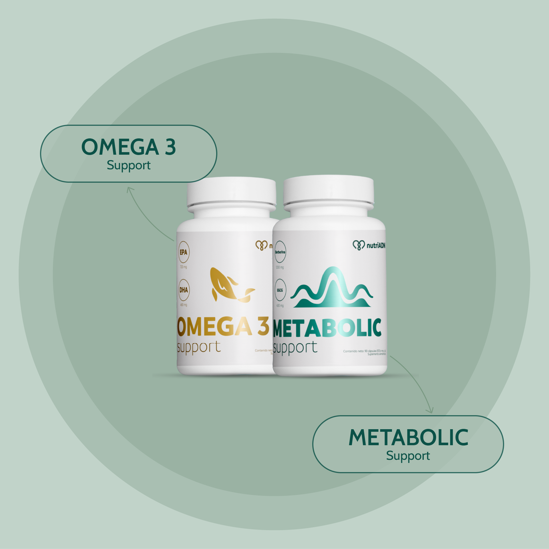 Kit Metabolic Refresh