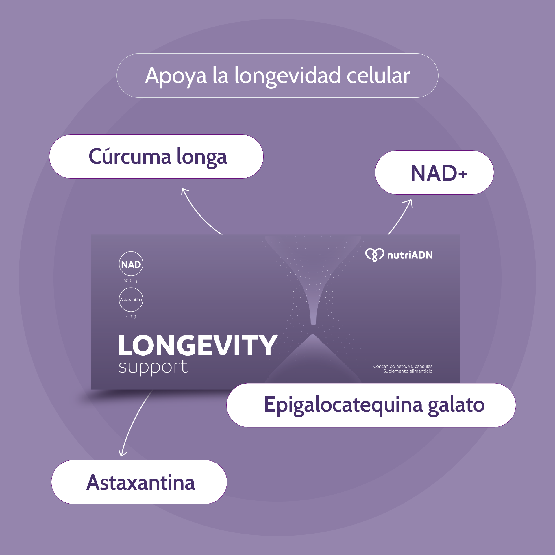 Longevity Support con NAD+, Astaxantina y Cúrcuma – Vitalidad