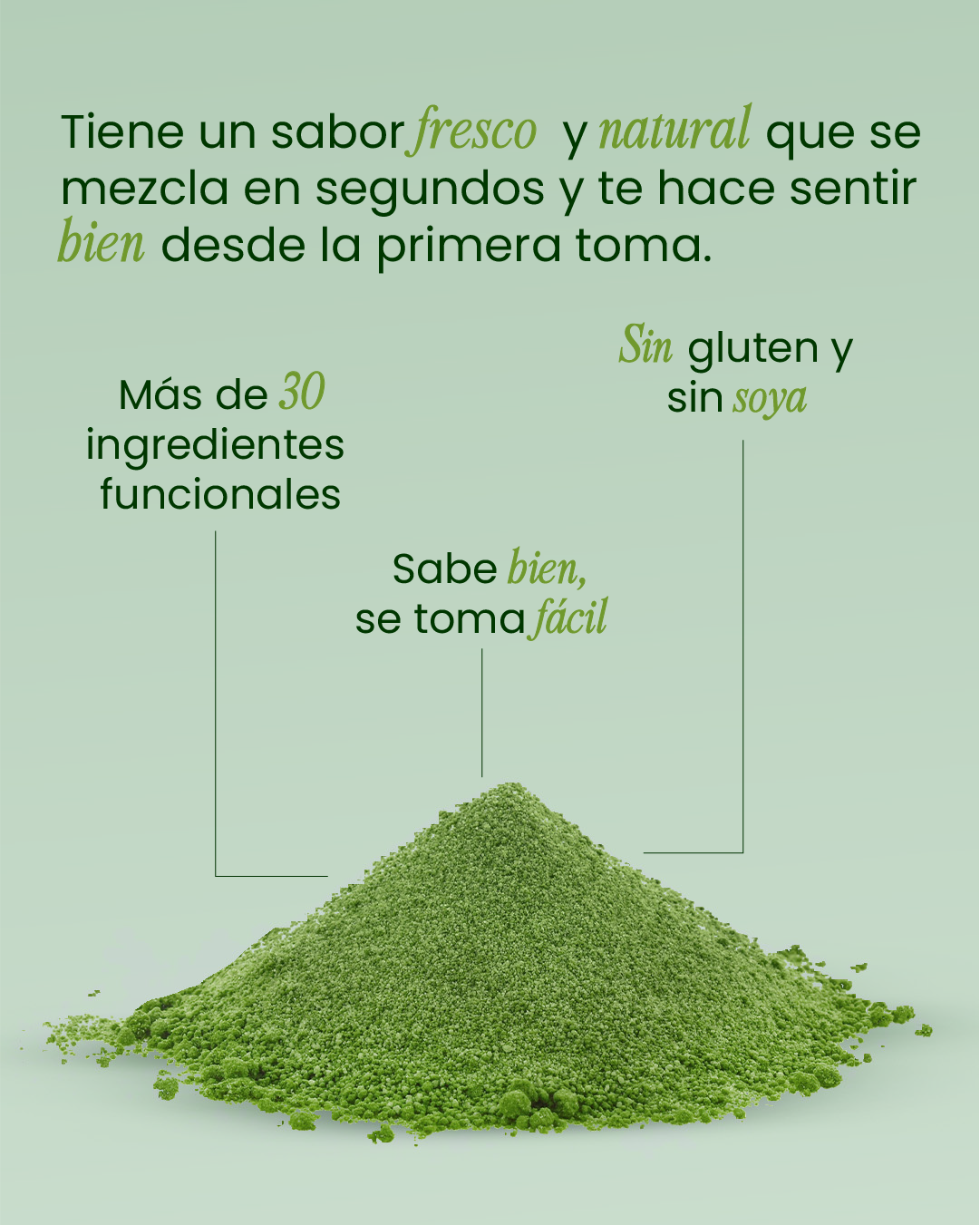 Greens Support con Glutamina, Enzimas Digestivas, Cúrcuma, Jengibre y Superverdes – Digestión y Energía