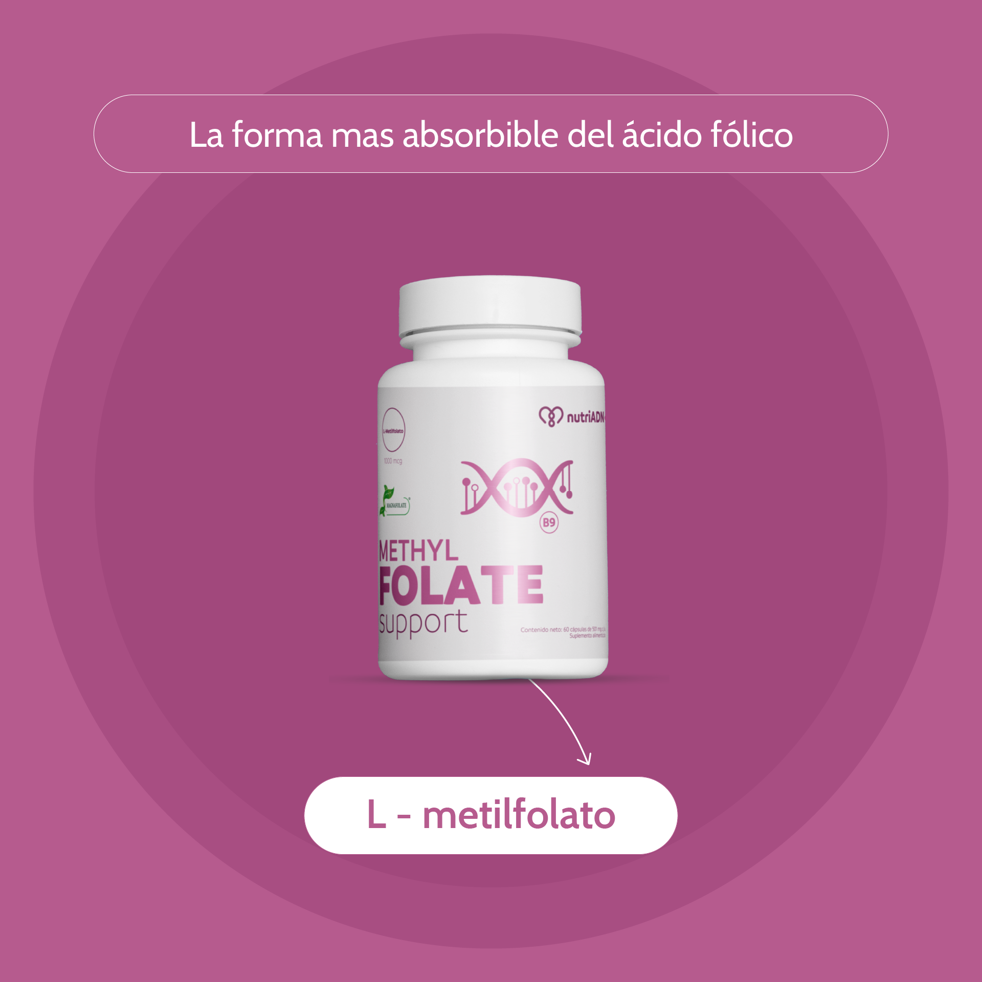Methyl Folate 1000 mcg – Folato Biodisponible