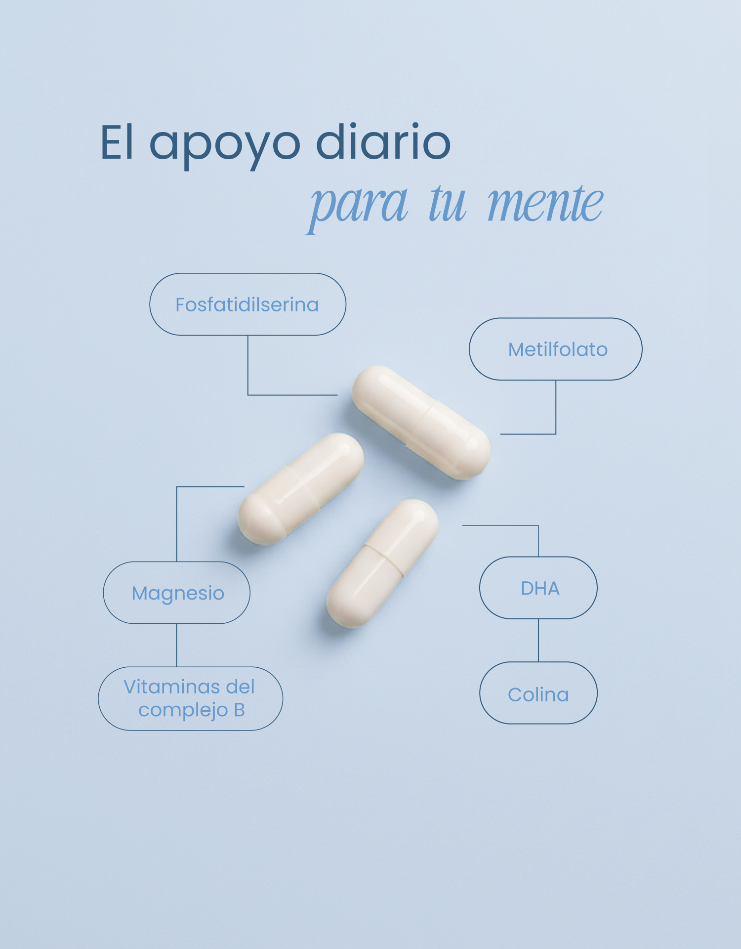Mind Support by nutriADN | Con Omega 3 (300 MG DHA) Magnesio (25 MG) y (100 MG) Fosfatidilserina