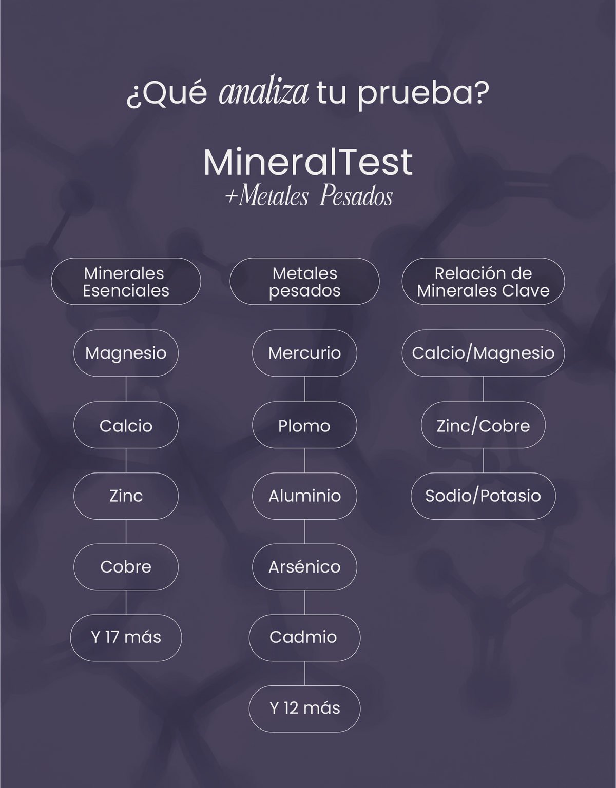 Qué analiza la prueba