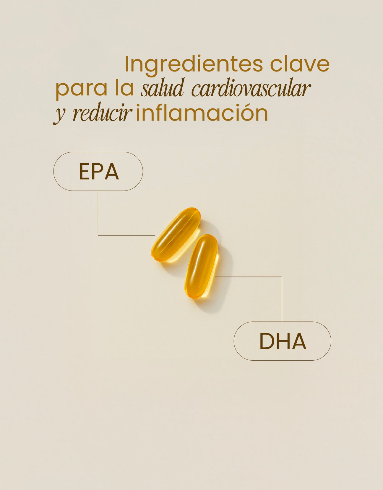 Omega 3 Support con EPA y DHA – Salud Cardiovascular y Cerebral