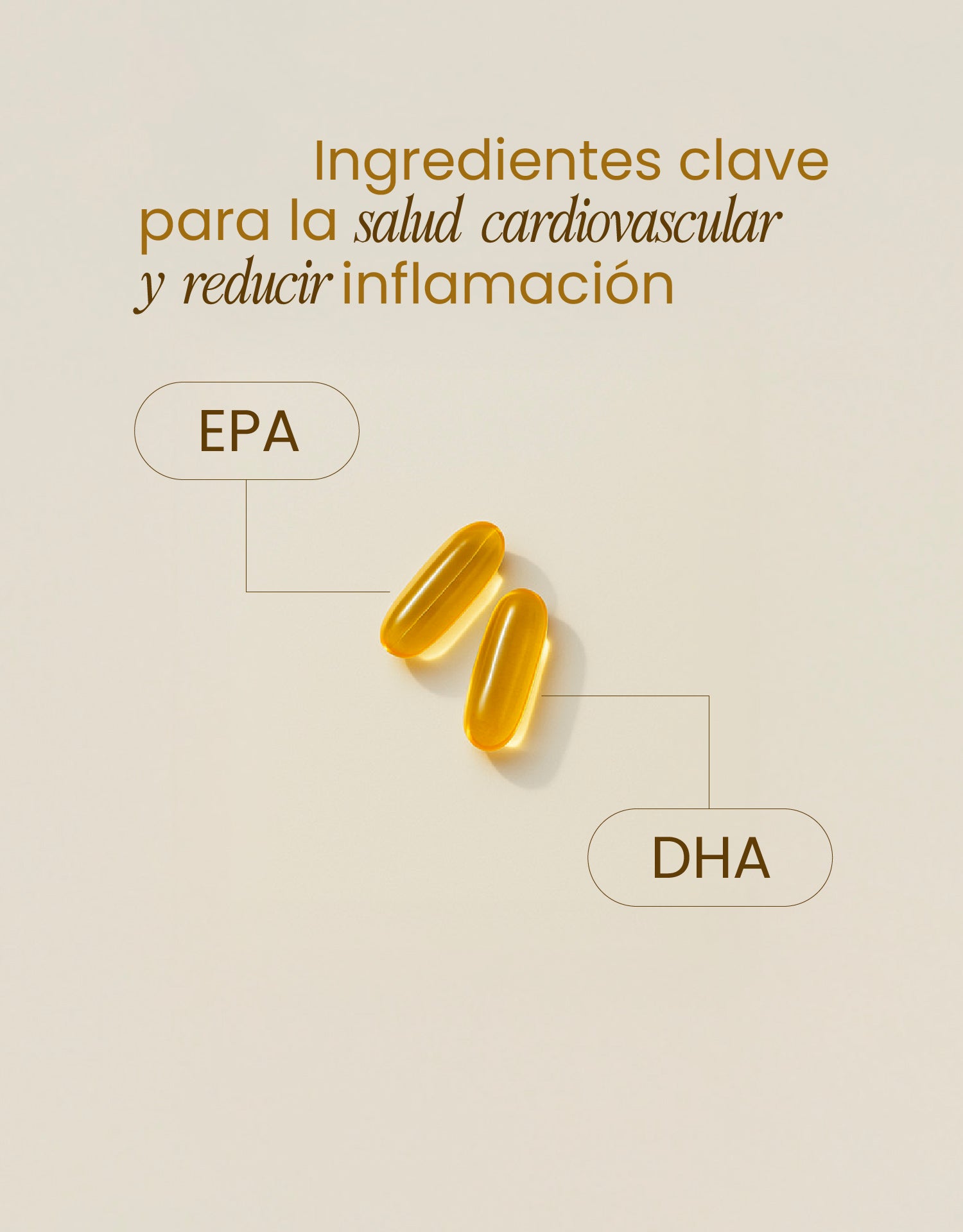 Omega 3 Support con EPA y DHA – Salud Cardiovascular y Cerebral