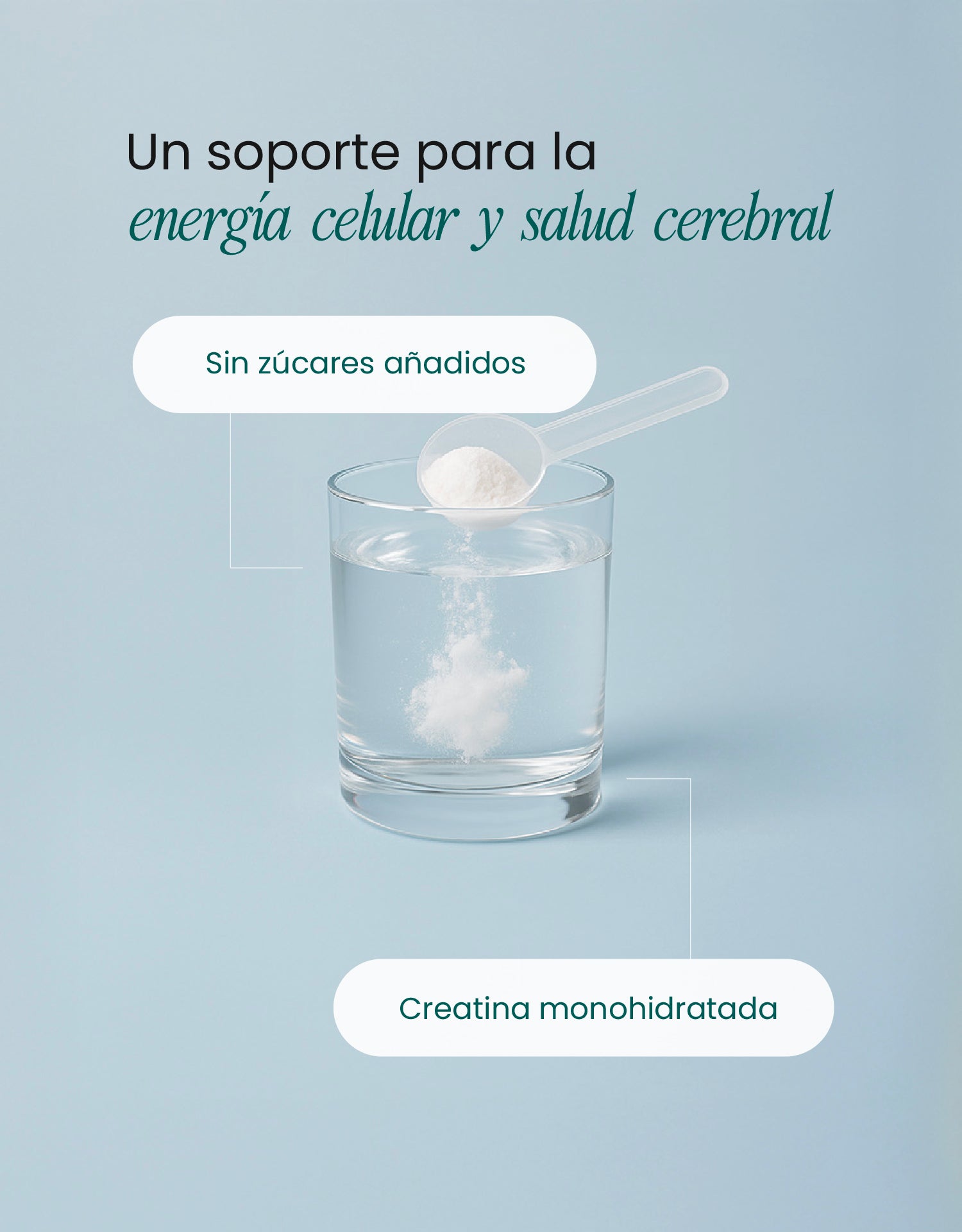 Creatina Monohidratada 100% Pura – Energía y Rendimiento