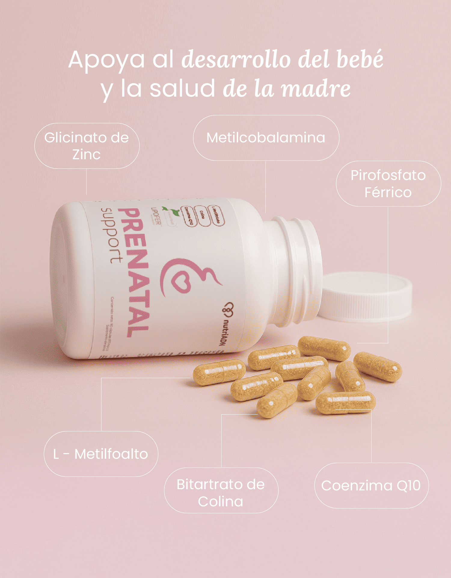 Prenatal Support con Ácido Fólico y Coenzima Q10 – Salud Materna