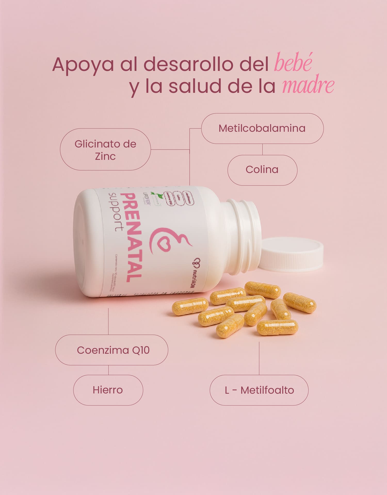 Prenatal Support con Ácido Fólico y Coenzima Q10 – Salud Materna