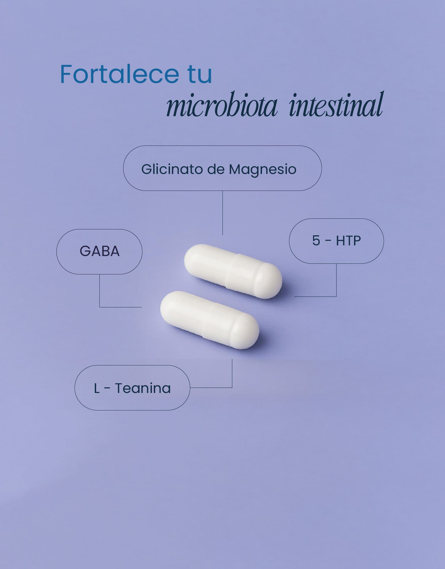 Sleep Support con GABA, 5-HTP y Magnesio – Descanso Profundo