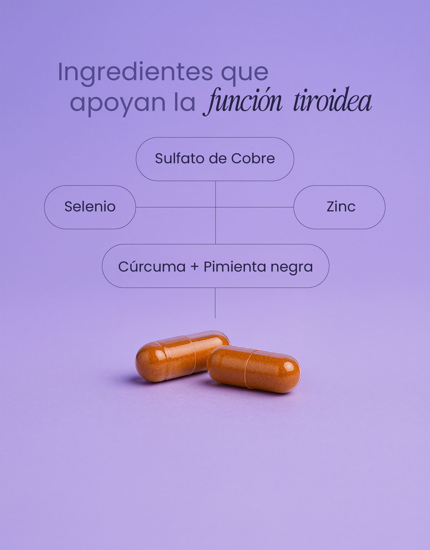 Thyroid Support con Zinc, Selenio y Cúrcuma – Apoyo A Función Tiroidea