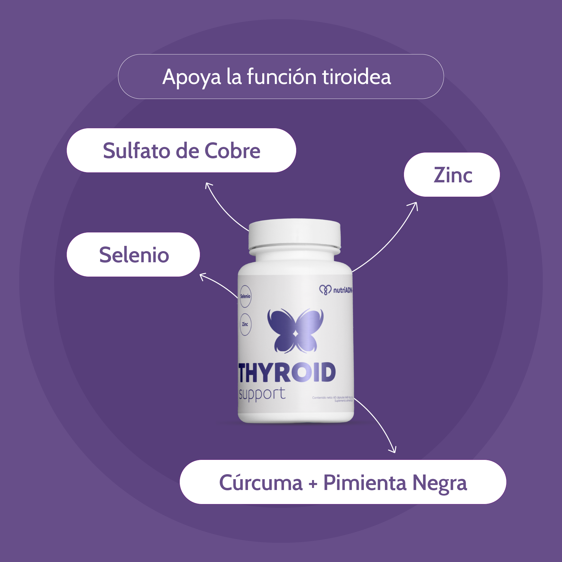 Thyroid Support con Zinc, Selenio y Cúrcuma – Apoyo A Función Tiroidea